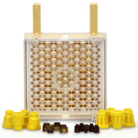 Jenter Zuchtsystem Einsteiger Komplett-Set