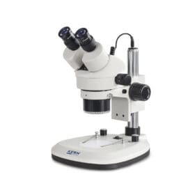 Kern Binocular Mikroskop