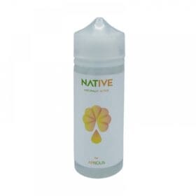 Flüssigkeit für Apisolis Verdampfer 120 ml