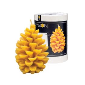 Silikongießform Kieferzapfen groß - FS461