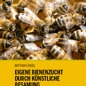 Buch: Eigene Bienenzucht durch künstliche Besamung - Matthias Engel