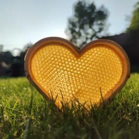 Herzrahmen Einheitsmaß