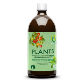 Plants