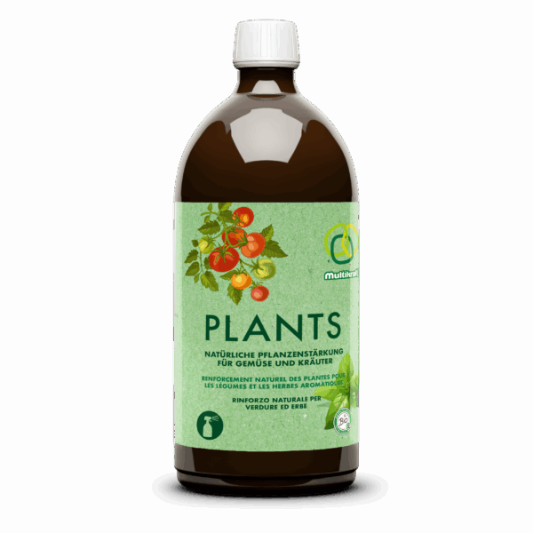 Multikraft- Plants