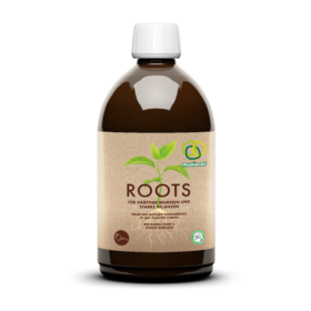 Roots