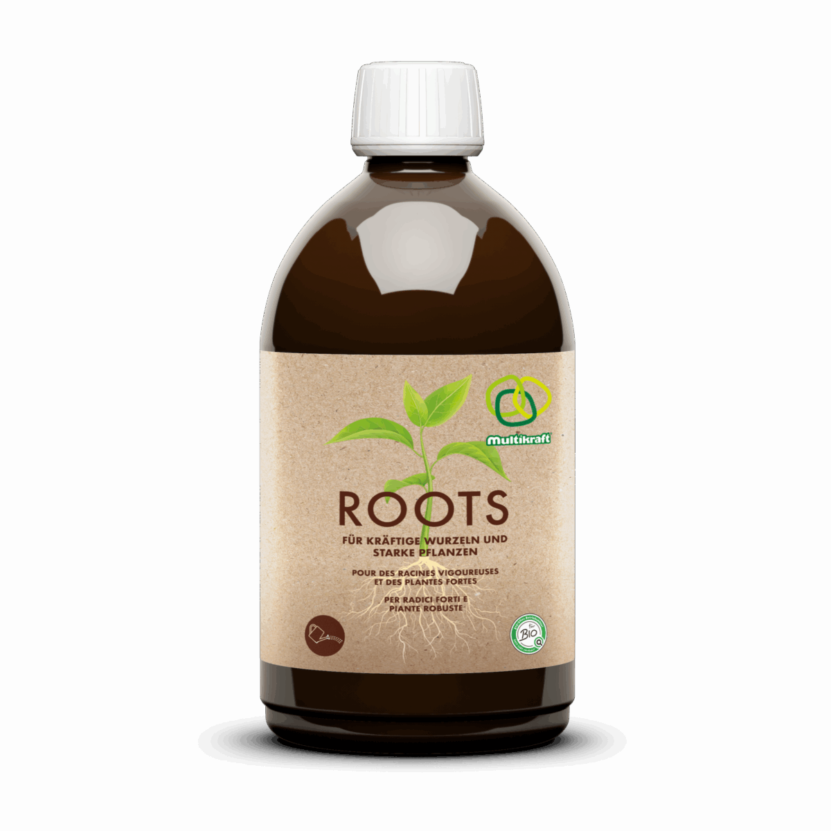 Roots