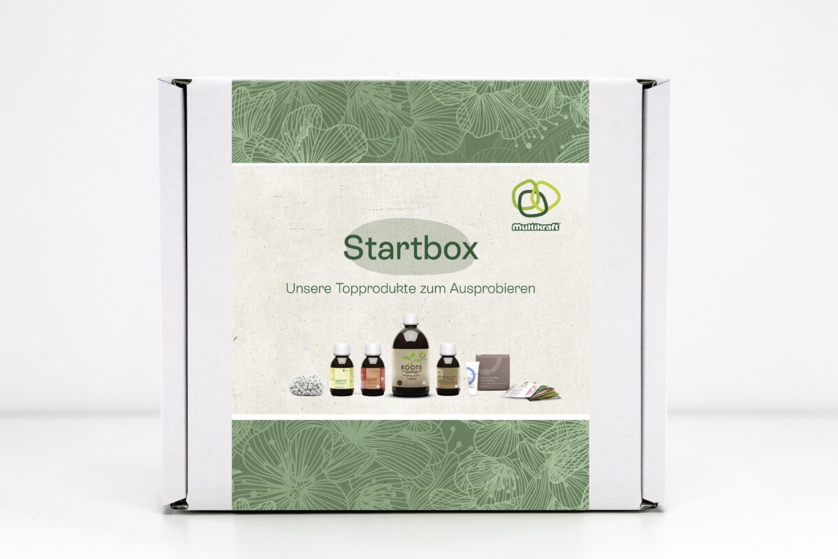 Paket "Startbox"