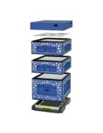 Lyson Hartschaum Dadant Blatt OPTIMA - blau mit Margariten – Bild 3