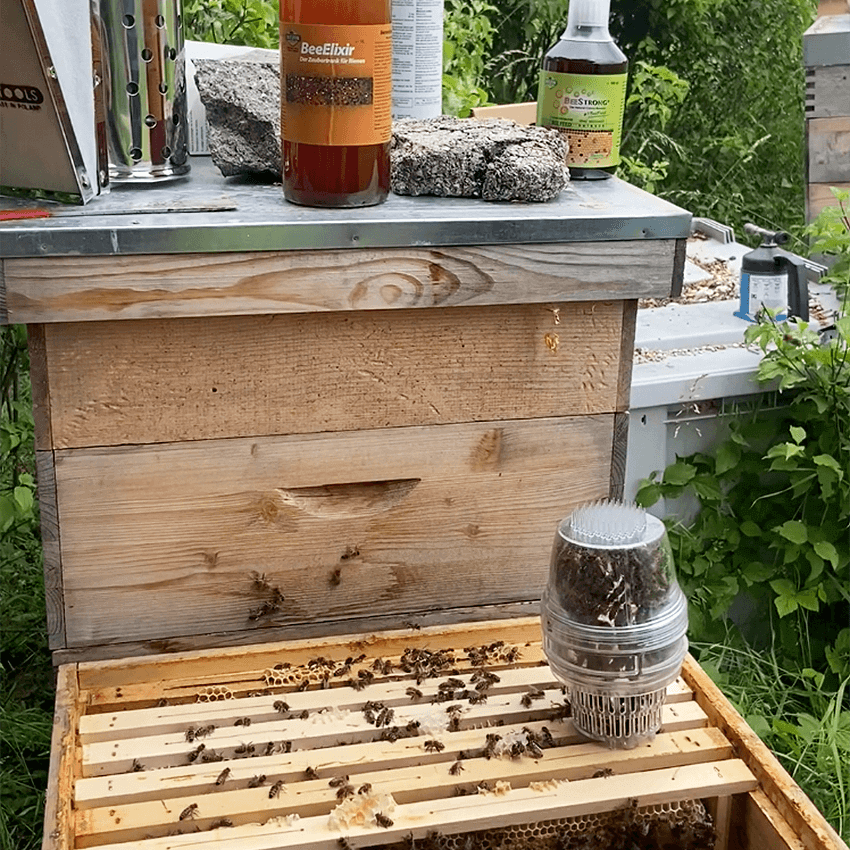 Varroa Tester 3 in 1