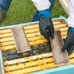 Formicpro Streifen – Bild 2