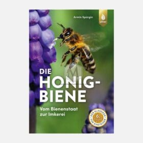 Buch: Die Honigbiene - Armin Spürgin