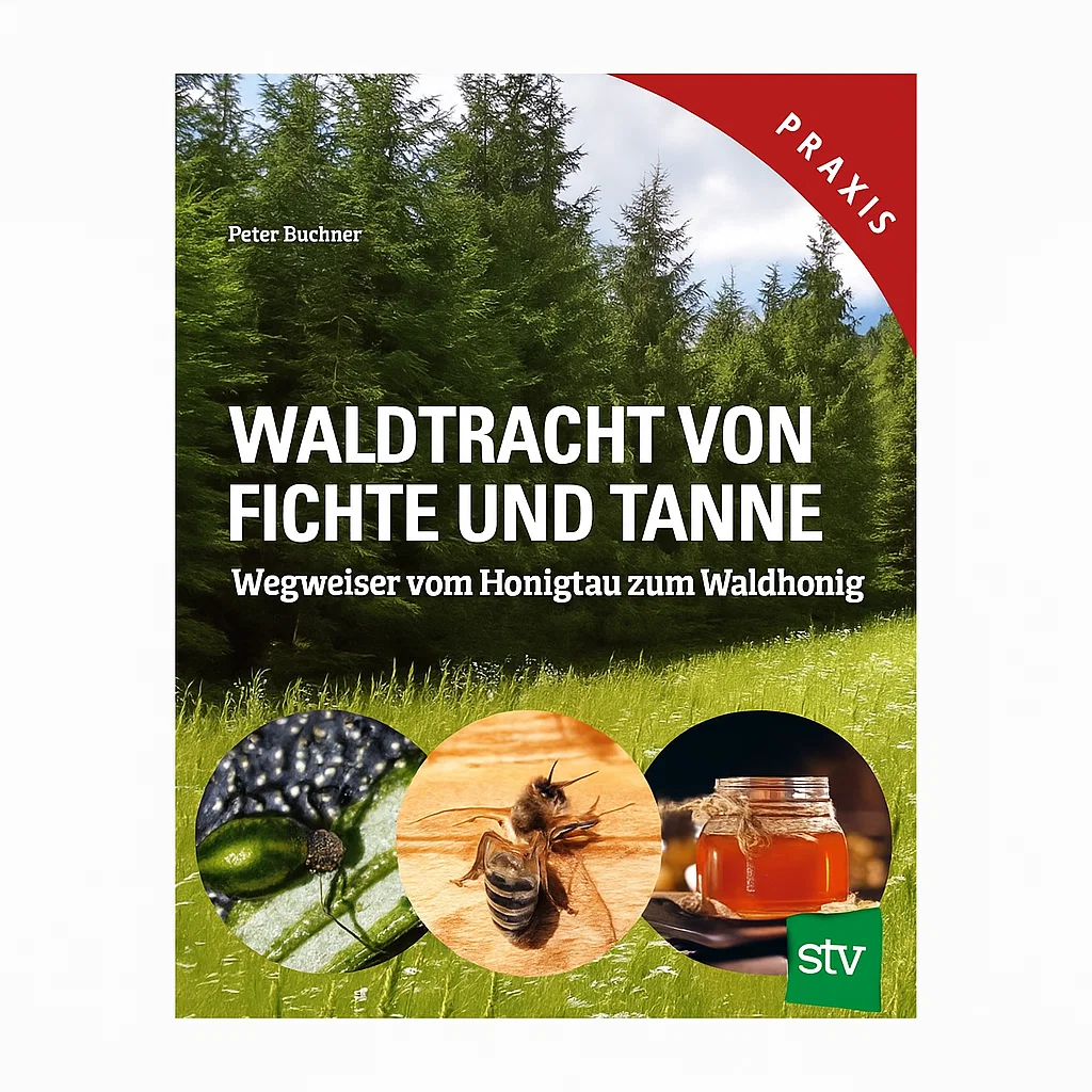 Buch: Waldtracht von Fichte und Tanne - Peter Buchner Buch: Waldtracht von Fichte und Tanne - Peter Buchner
