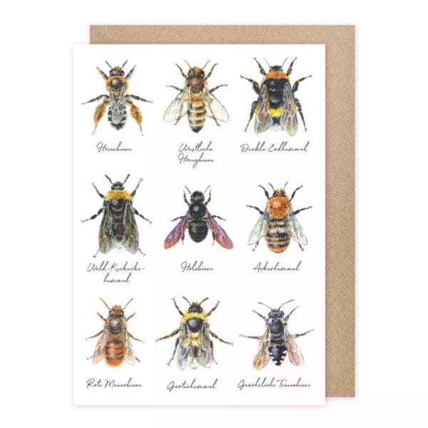 Klappkarte Bienen