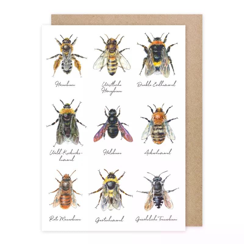 Klappkarte Bienen