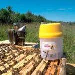 Varroa Easy Check Andermatt