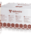 Apipasta Vitamins Futterteig